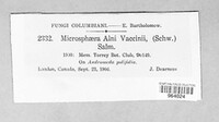 Image Associated With the Occurence